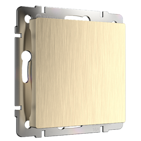 Заглушка Werkel W1159210 Шампань рифленый