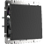 Перекрестный переключатель одноклавишный Werkel W1113008 Черный матовый