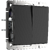 Выключатель двухклавишный проходной Werkel W1122008 Черный матовый