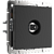 ТВ-розетка оконечная Werkel W1183008 Черная матовая