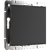 Декоративная заглушка Werkel W1159208 Черная матовая